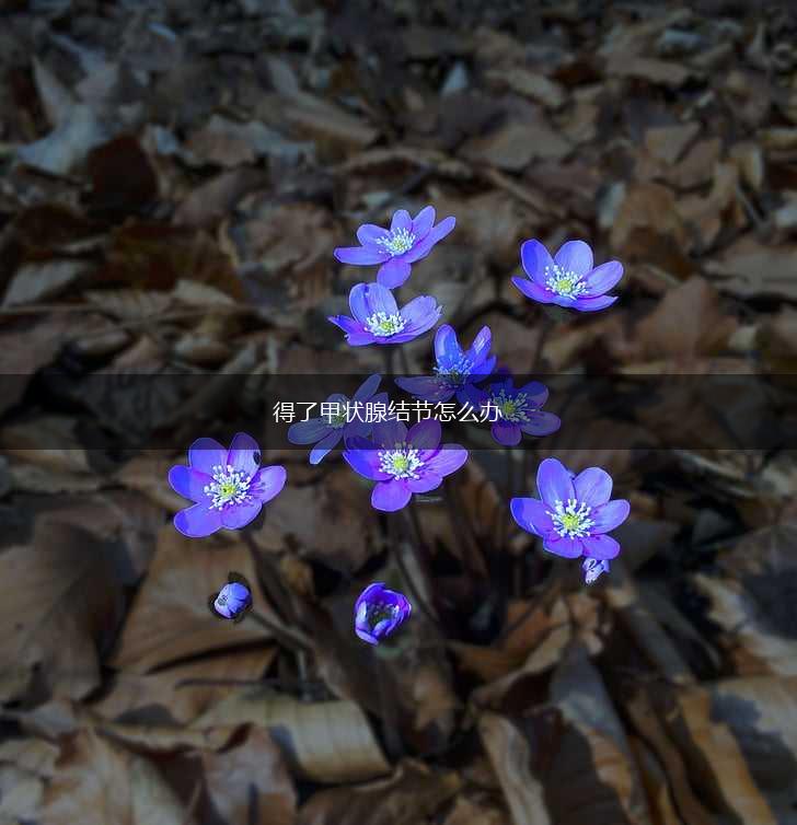 得了甲状腺结节怎么办,第1张