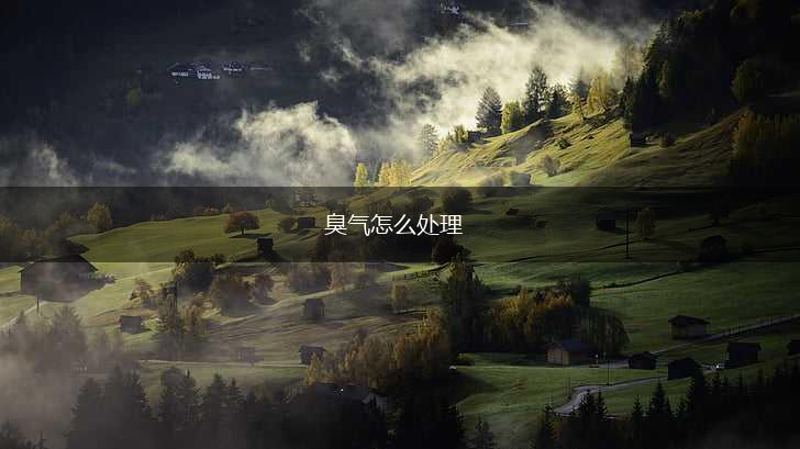 臭气怎么处理,第1张