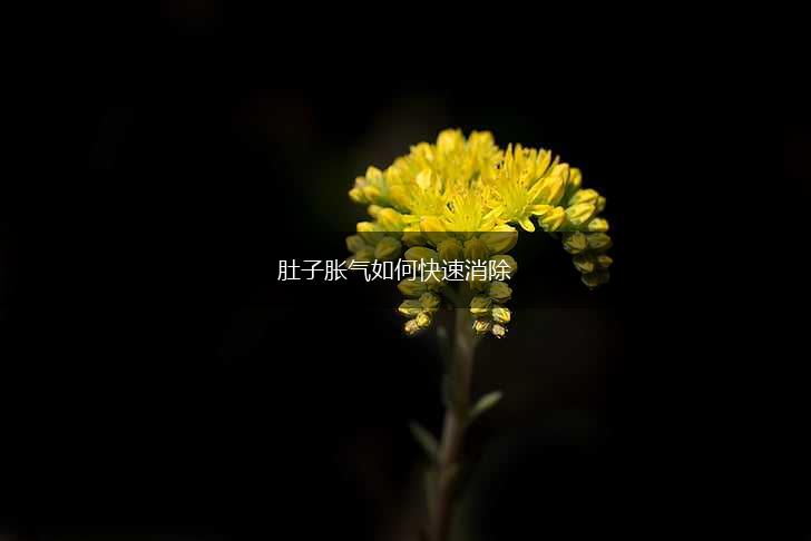 肚子胀气如何快速消除,第1张