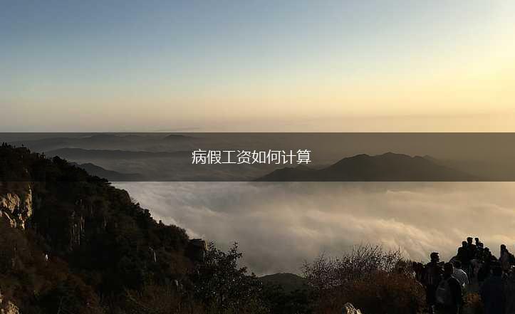 病假工资如何计算,第1张