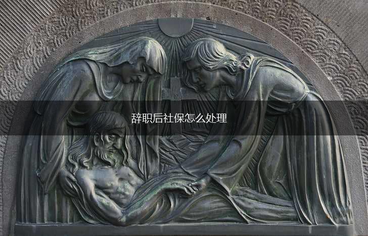 辞职后社保怎么处理,第1张