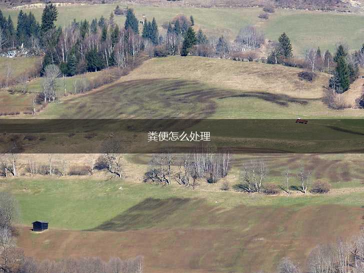 粪便怎么处理,第1张