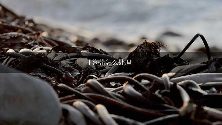 干海带怎么处理,第1张