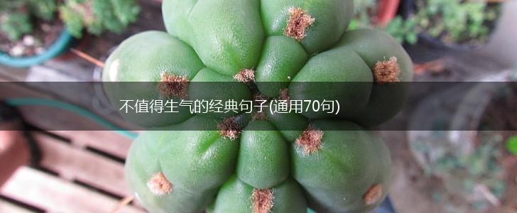 不值得生气的经典句子(通用70句),第1张