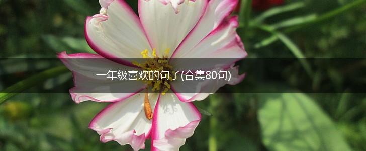 一年级喜欢的句子(合集80句),第1张