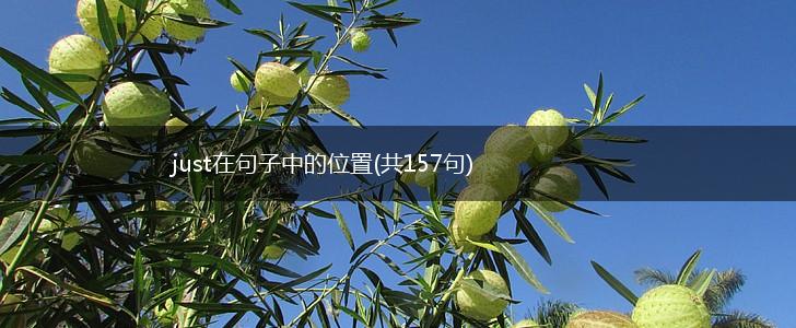 just在句子中的位置(共157句),第1张