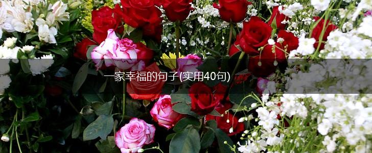 一家幸福的句子(实用40句),第1张