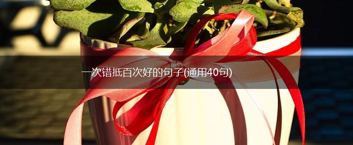 一次错抵百次好的句子(通用40句),第1张