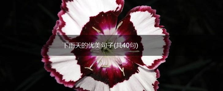 下雨天的优美句子(共40句),第1张
