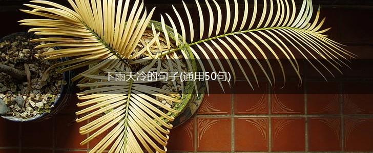 下雨天冷的句子(通用50句),第1张