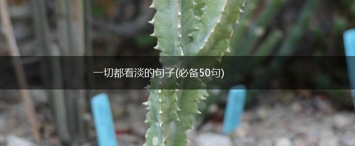 一切都看淡的句子(必备50句),第1张