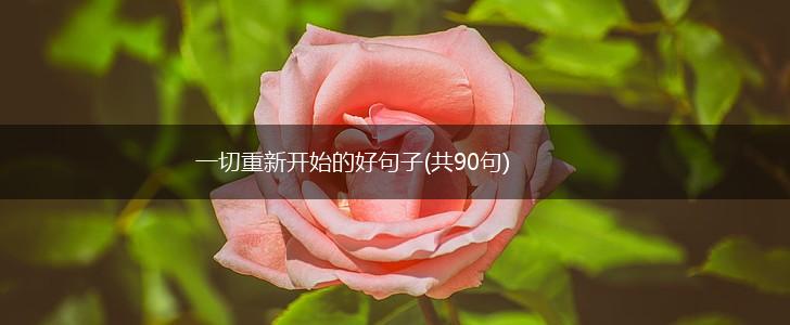 一切重新开始的好句子(共90句),第1张