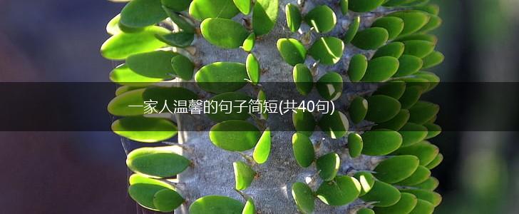 一家人温馨的句子简短(共40句),第1张