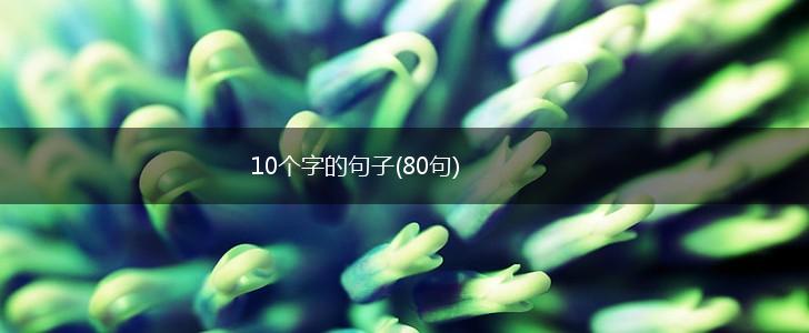 10个字的句子(80句),第1张