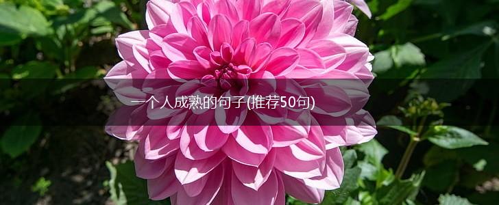 一个人成熟的句子(推荐50句),第1张