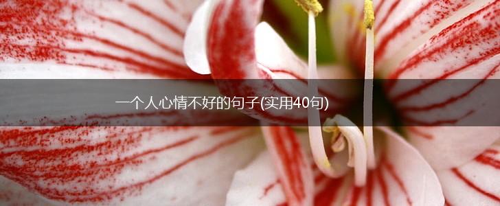 一个人心情不好的句子(实用40句),第1张