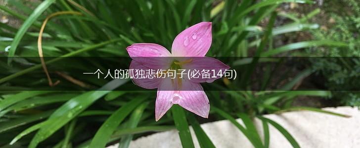 一个人的孤独悲伤句子(必备14句),第1张