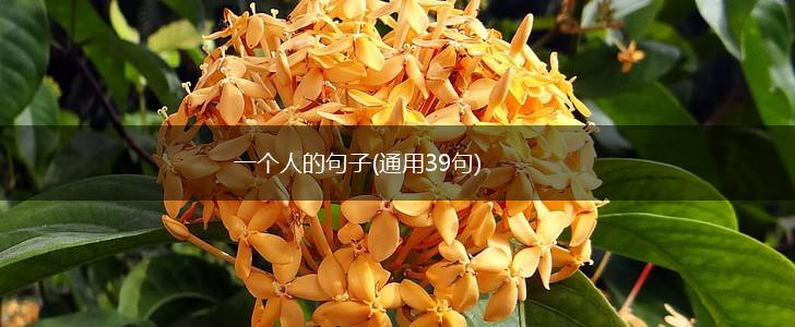 一个人的句子(通用39句),第1张