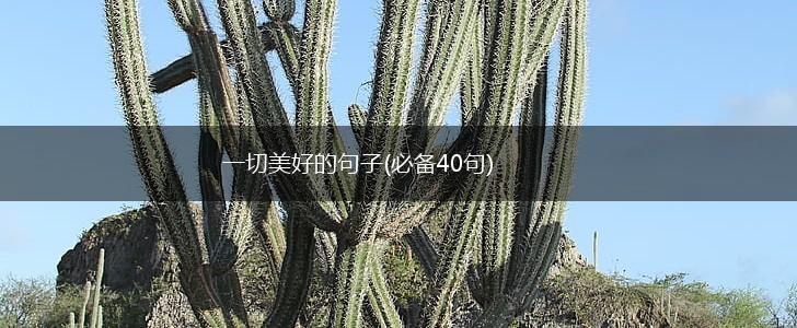 一切美好的句子(必备40句),第1张