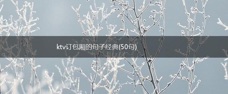 ktv订包厢的句子经典(50句),第1张