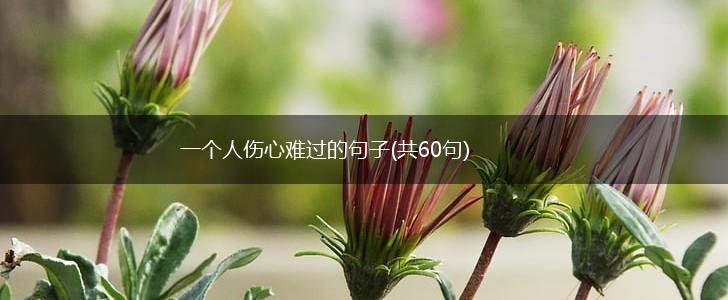 一个人伤心难过的句子(共60句),第1张