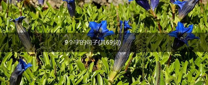 9个字的句子(共69句),第1张