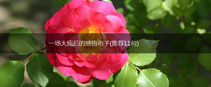 一场大病后的感悟句子(推荐11句),第1张