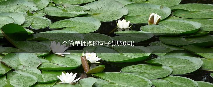 一个简单拥抱的句子(共50句),第1张