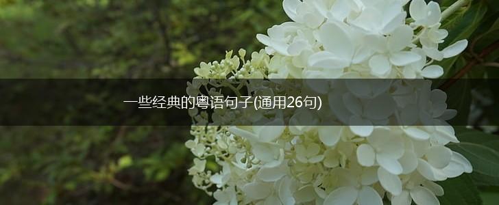 一些经典的粤语句子(通用26句),第1张