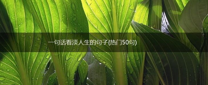 一句话看淡人生的句子(热门50句),第1张