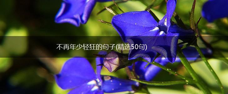 不再年少轻狂的句子(精选50句),第1张