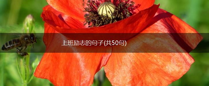 上班励志的句子(共50句),第1张
