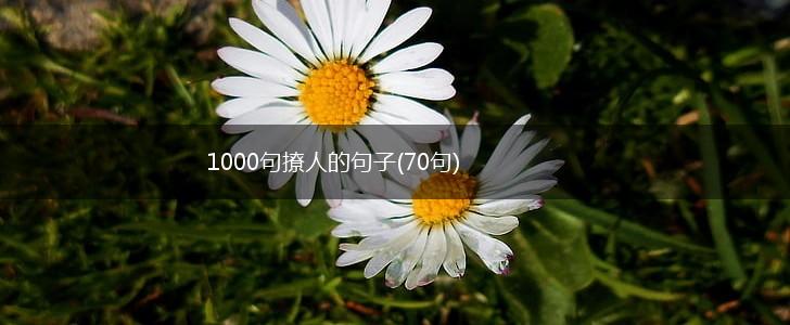 1000句撩人的句子(70句),第1张