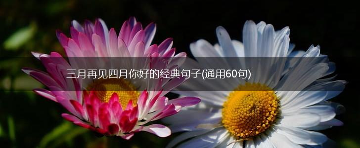 三月再见四月你好的经典句子(通用60句),第1张