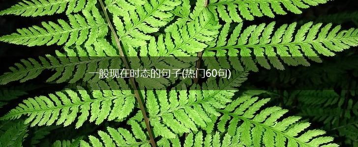 一般现在时态的句子(热门60句),第1张
