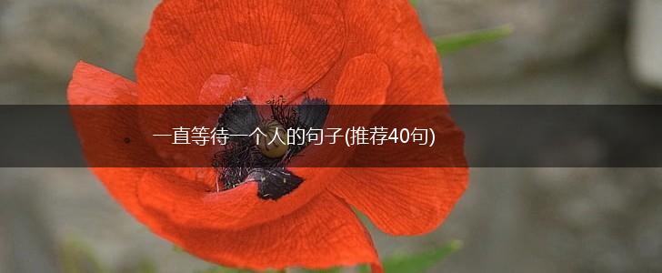 一直等待一个人的句子(推荐40句),第1张