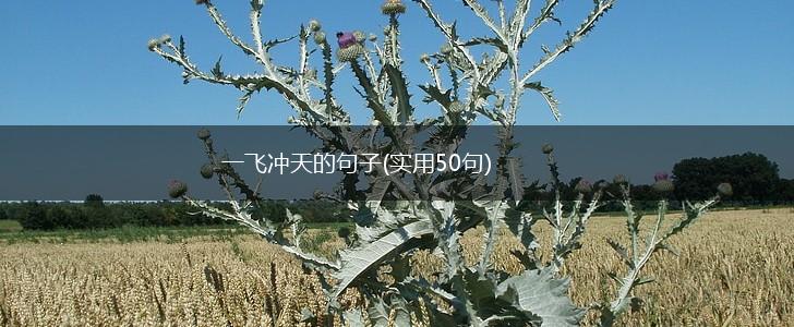 一飞冲天的句子(实用50句),第1张