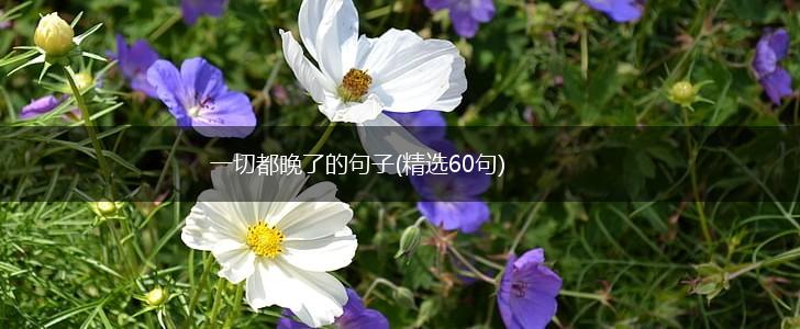 一切都晚了的句子(精选60句),第1张
