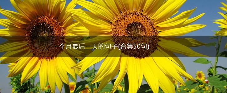 一个月最后一天的句子(合集50句),第1张