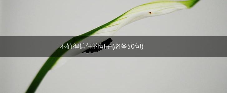 不值得信任的句子(必备50句),第1张