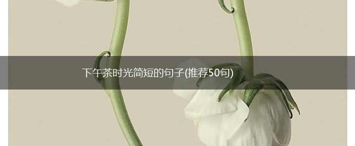 下午茶时光简短的句子(推荐50句),第1张