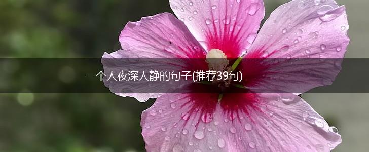 一个人夜深人静的句子(推荐39句),第1张