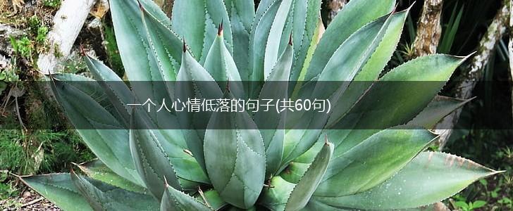 一个人心情低落的句子(共60句),第1张