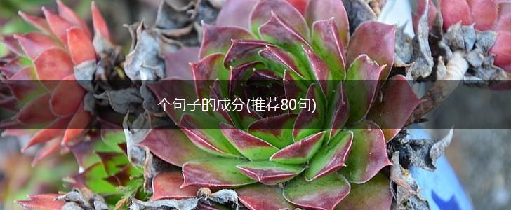 一个句子的成分(推荐80句),第1张