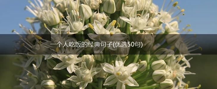 一个人吃饭的经典句子(优选50句),第1张