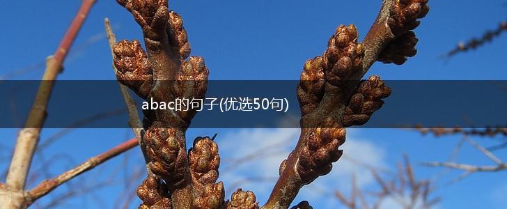 abac的句子(优选50句),第1张