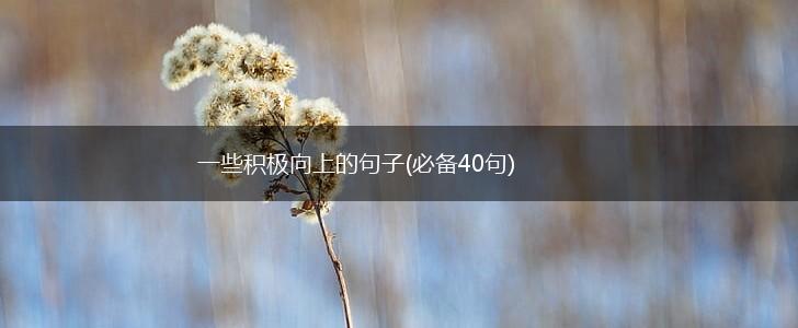 一些积极向上的句子(必备40句),第1张