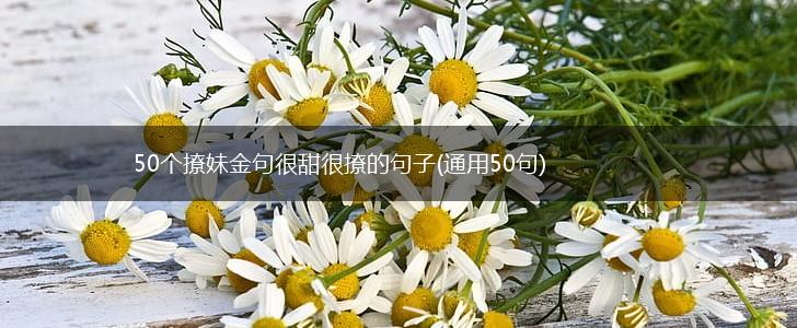 50个撩妹金句很甜很撩的句子(通用50句),第1张
