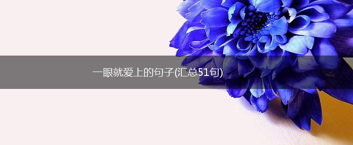 一眼就爱上的句子(汇总51句),第1张