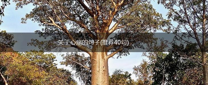 关于心痛的句子(推荐40句),第1张